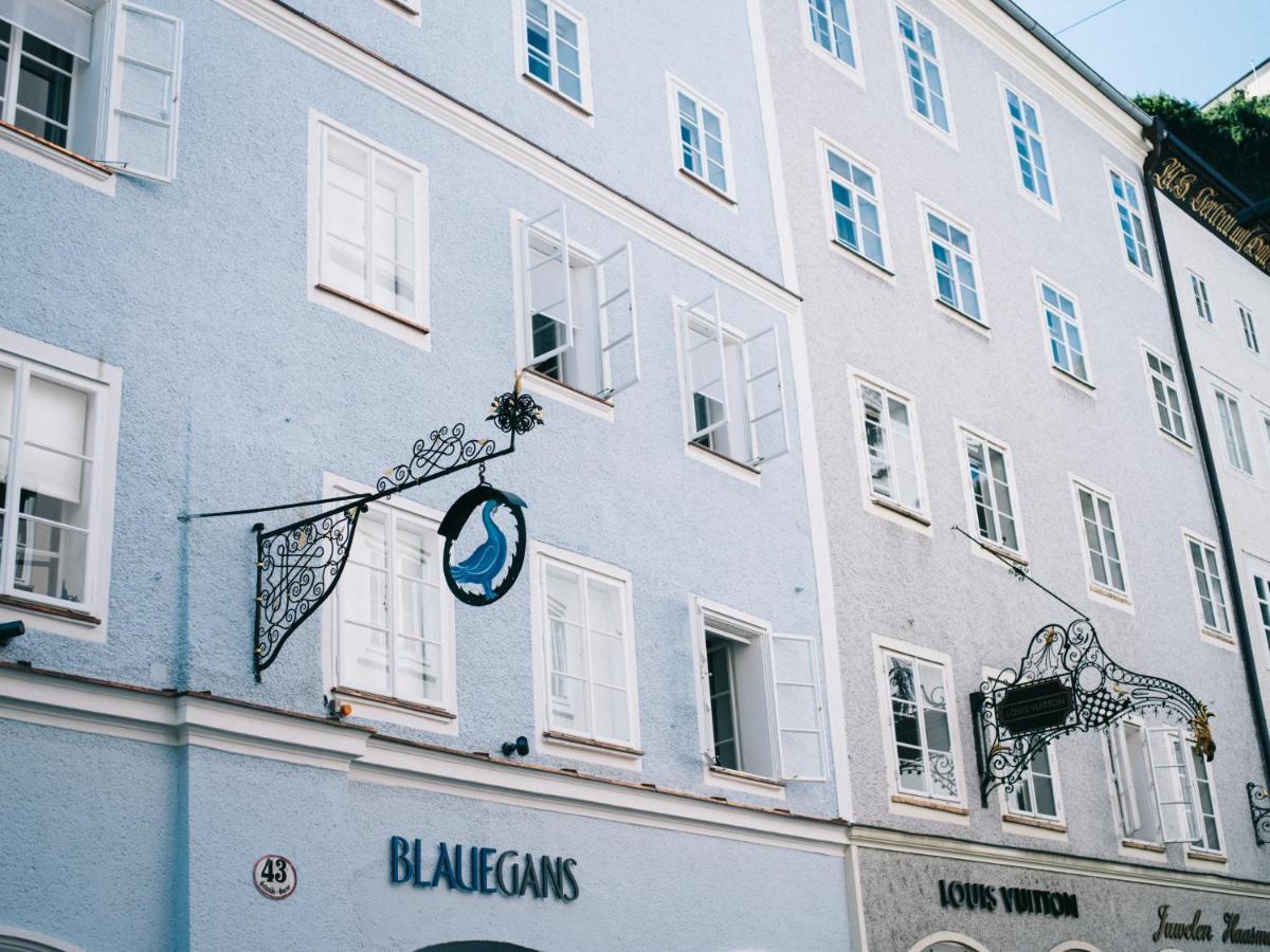 Arthotel Blaue Gans Hotel Salisburgo