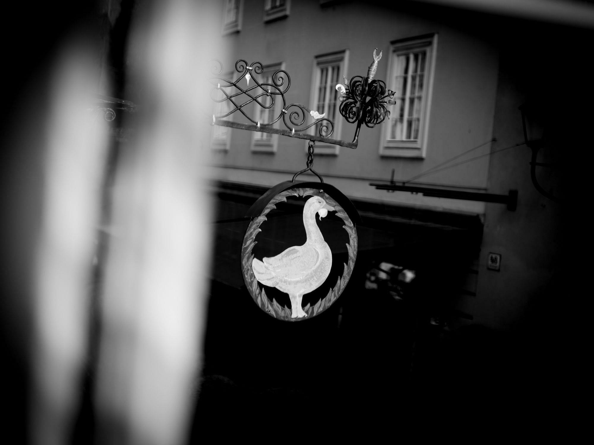 Arthotel Blaue Gans 4* Salisburgo